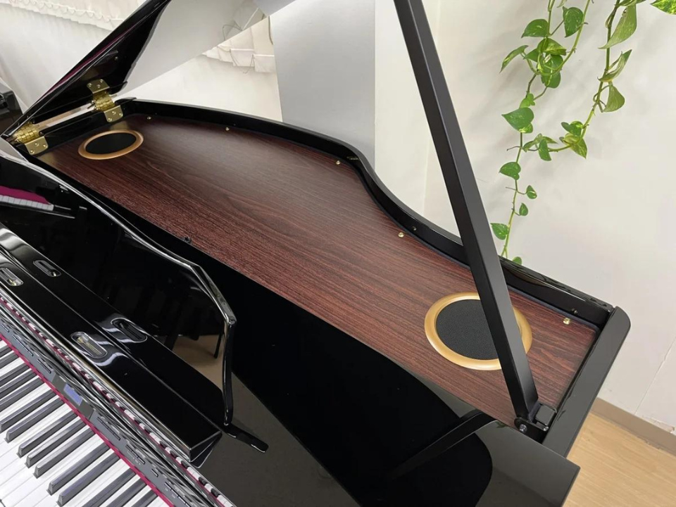 ROLAND GP-607 PE - Ảnh thực tế 8